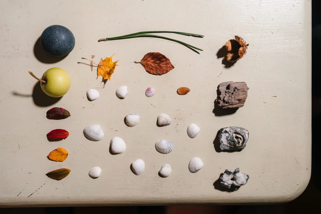 Stones and shells from the beach